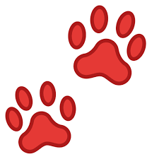 cat paw