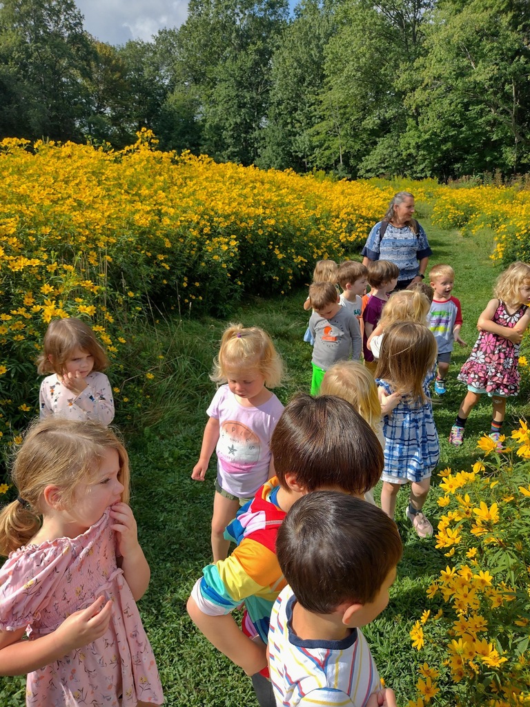 Glenview at Pollinator Field