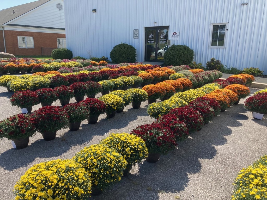 Mum sale
