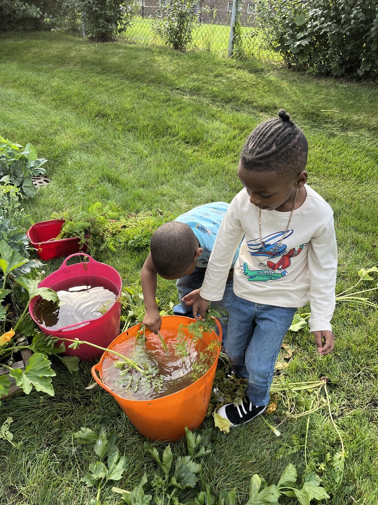 Preparing Produce from the school garden