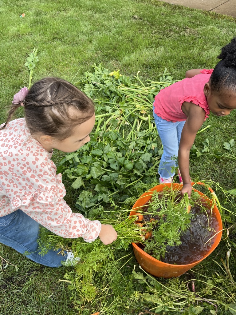 Preparing produce from the school garden