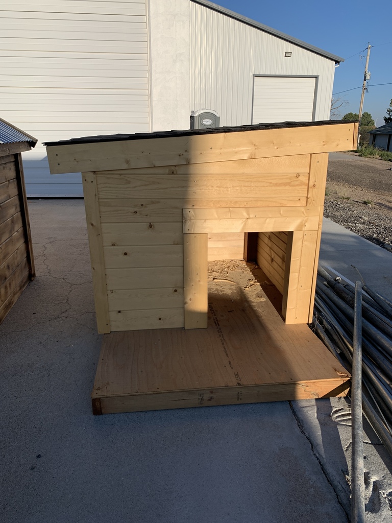 Dog House