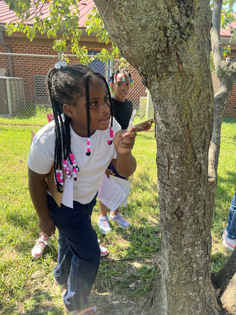 A student examines a tree.