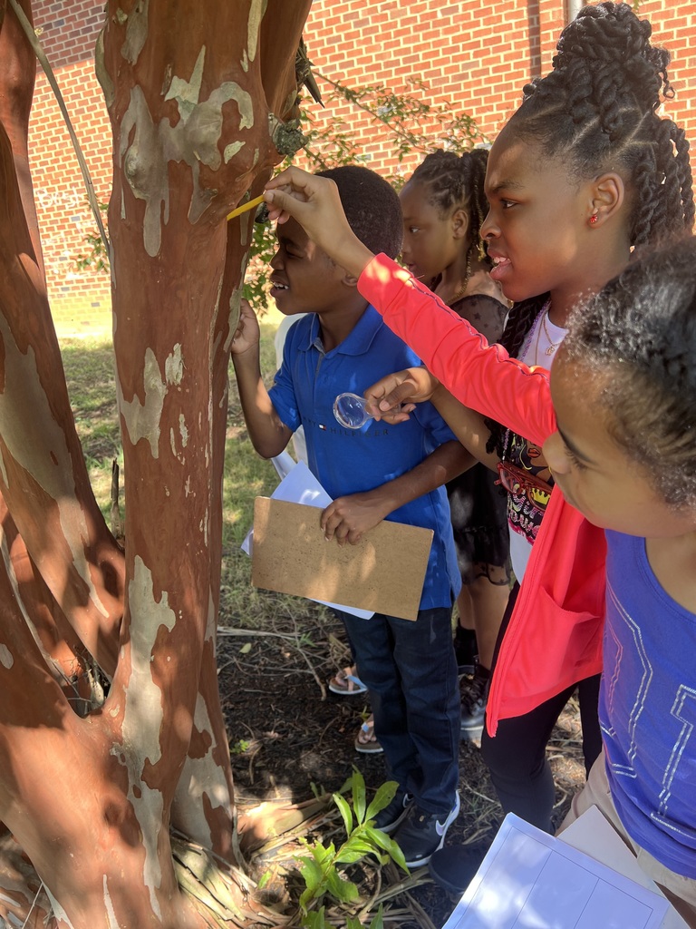 Students look at trees.