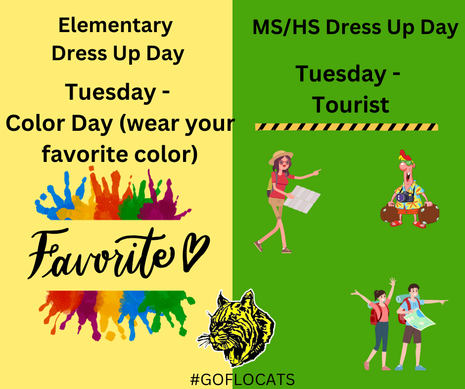 Elem Color day mshs tacky tourist