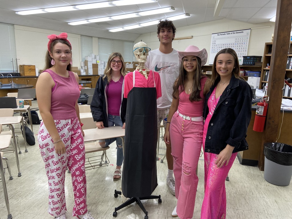 barbie day