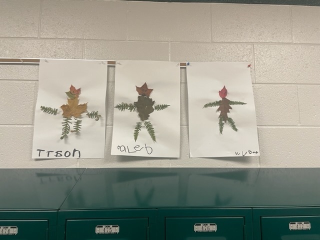 Florence 5K Leaf Men