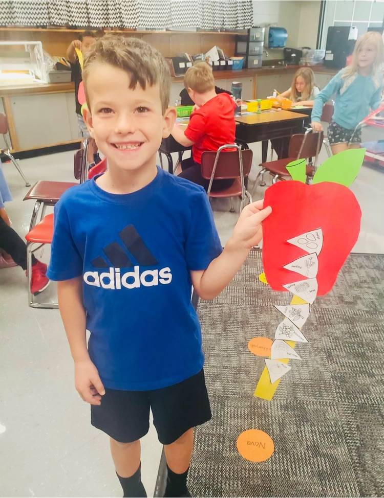 #mphawks