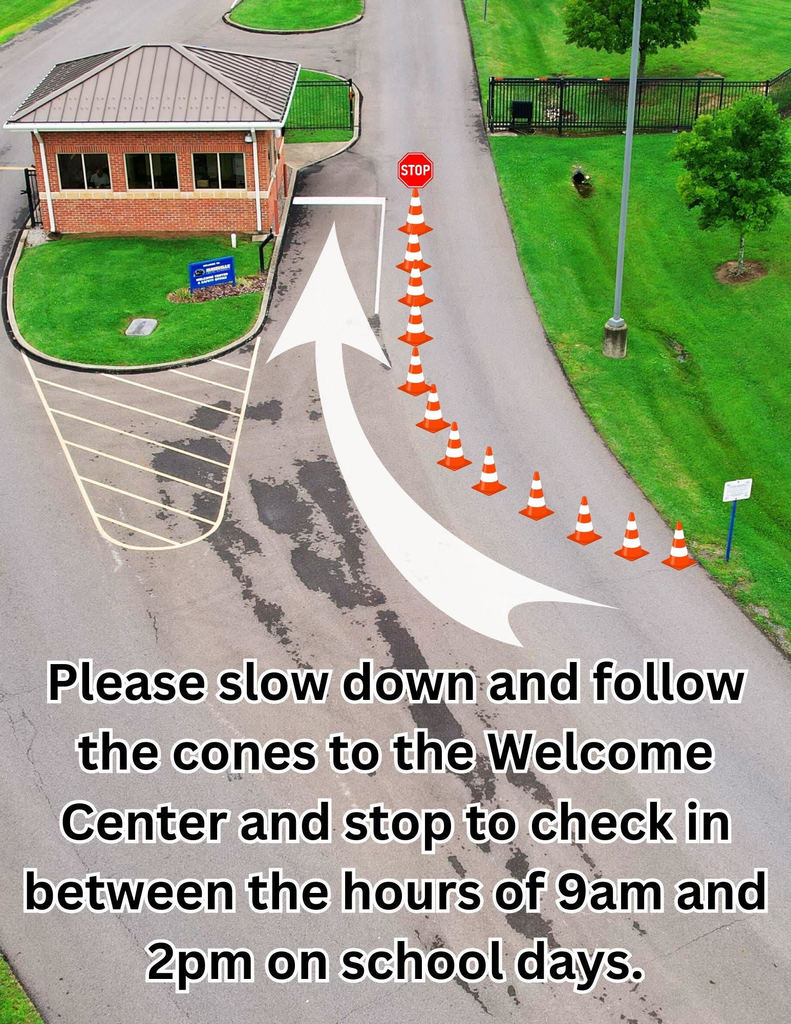 cones
