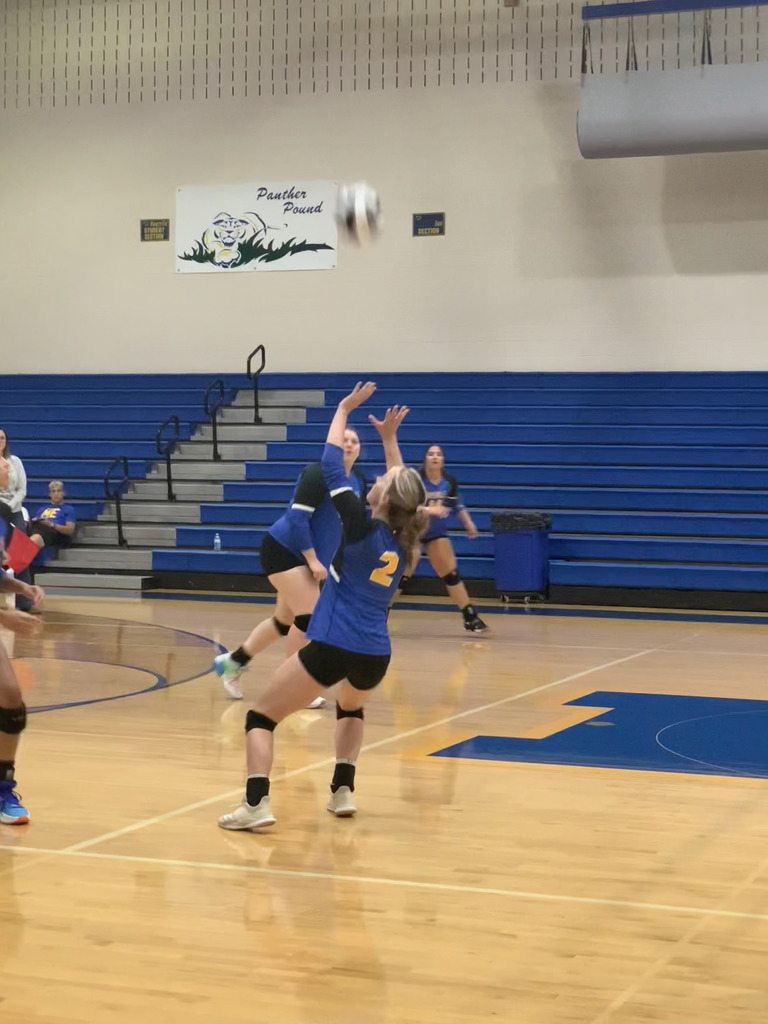 vb