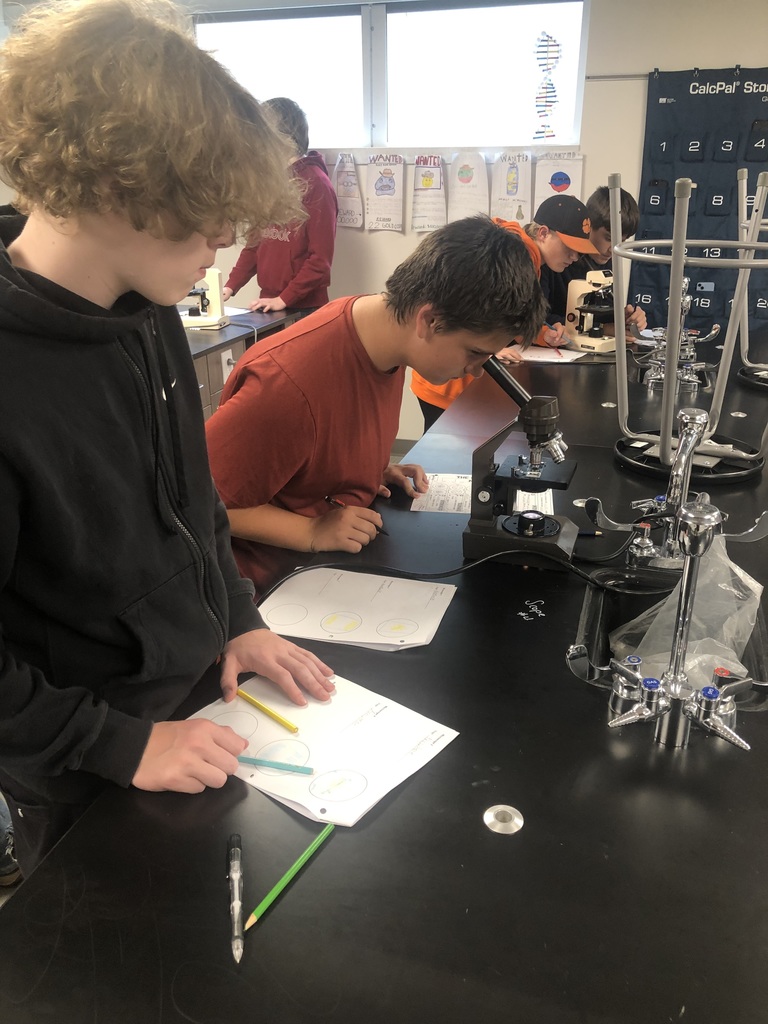 Biology and Cell Division