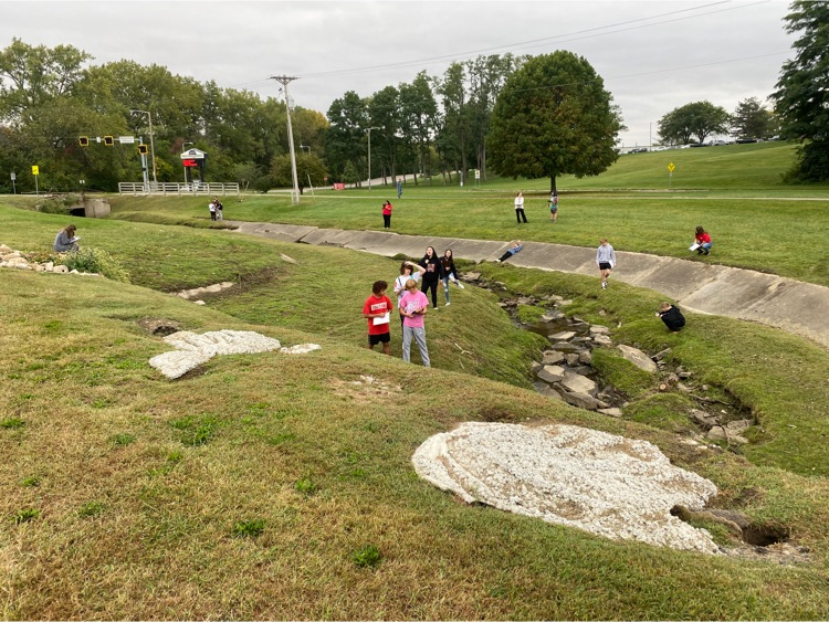 making observations of an aquatic ecosystem and human impacts on it