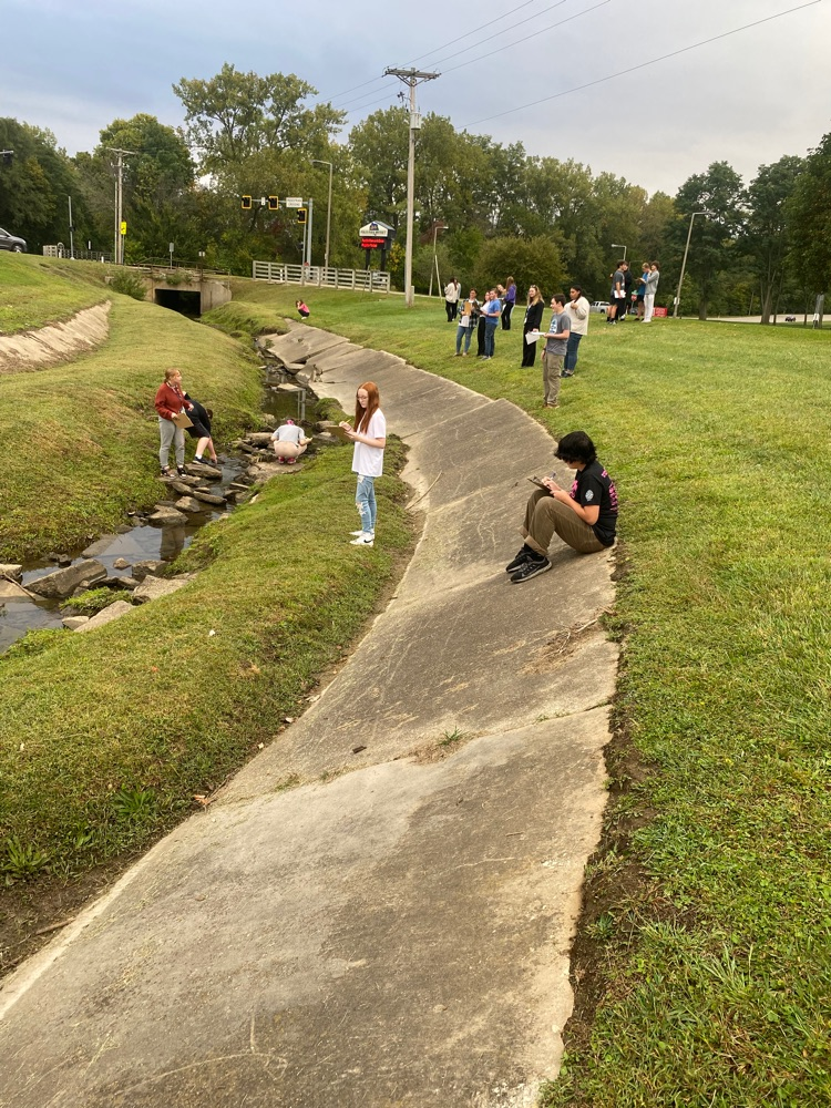 describing interactions between abiotic and biotic factors in the ecosystem