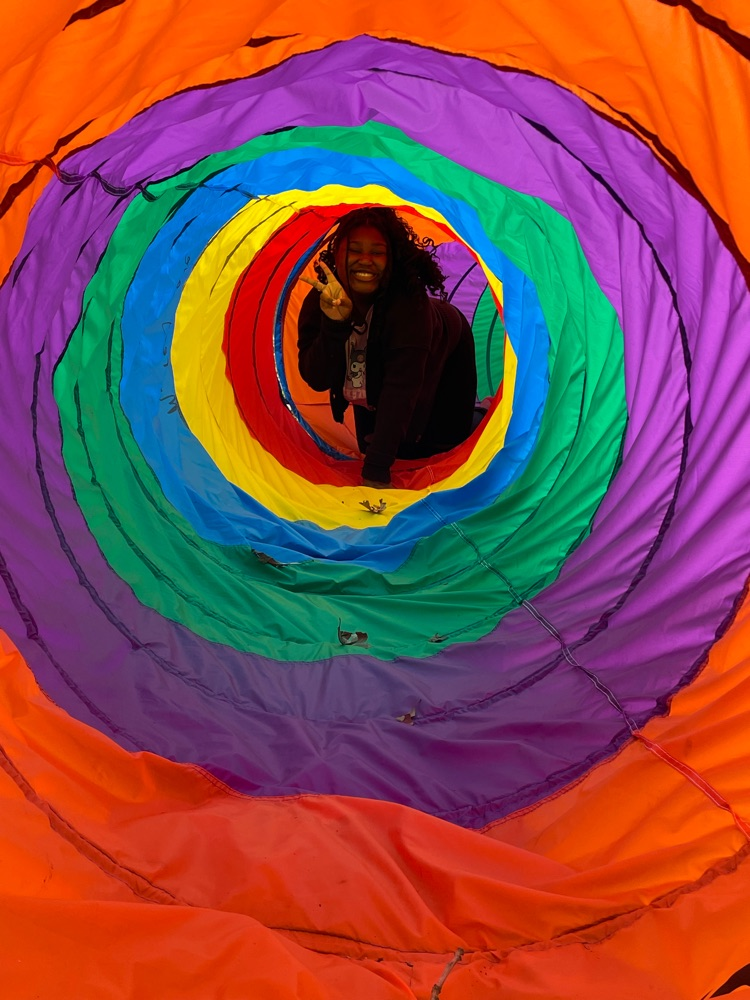 Tunnel crawl