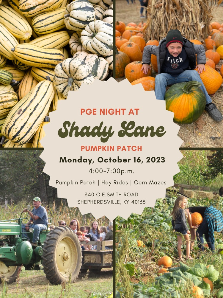 pumpkin patch