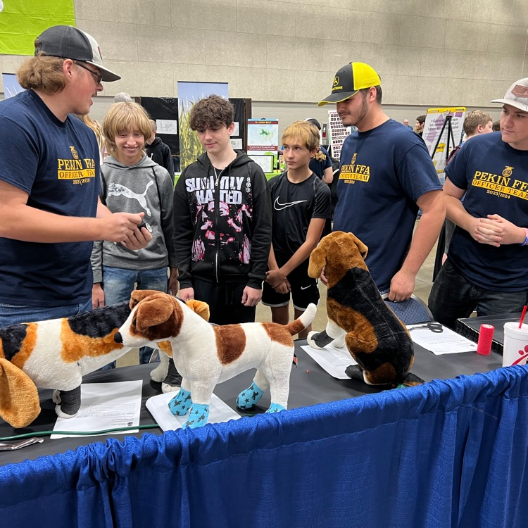 FFA day 2