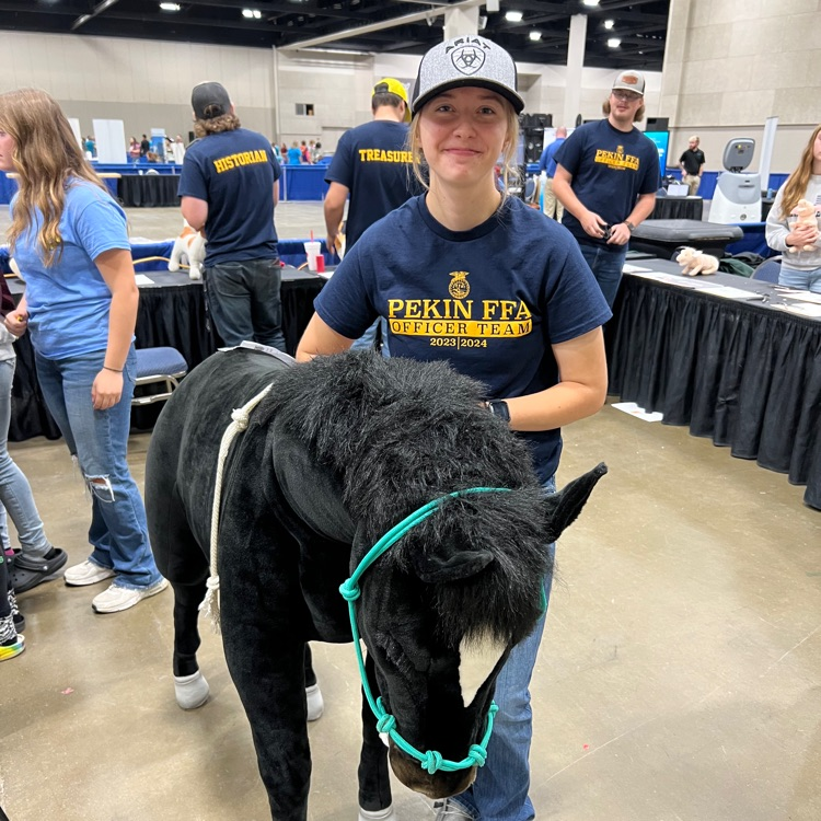 ffa day 2