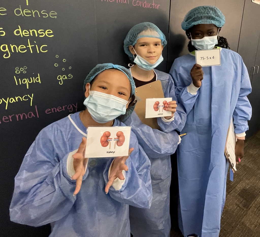Math Surgery