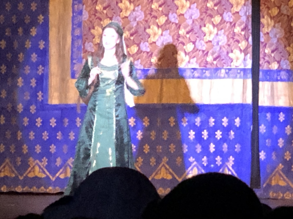 Once Upon A Mattress