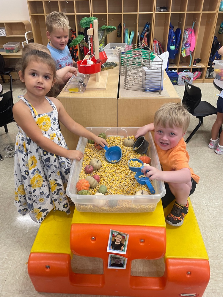 preschool students 
