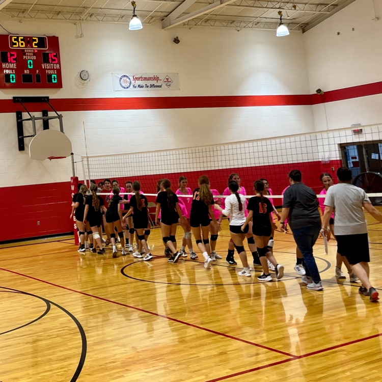 HSVB