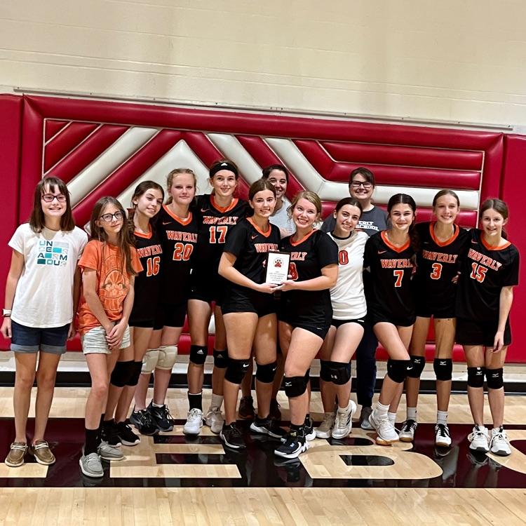 HSVB