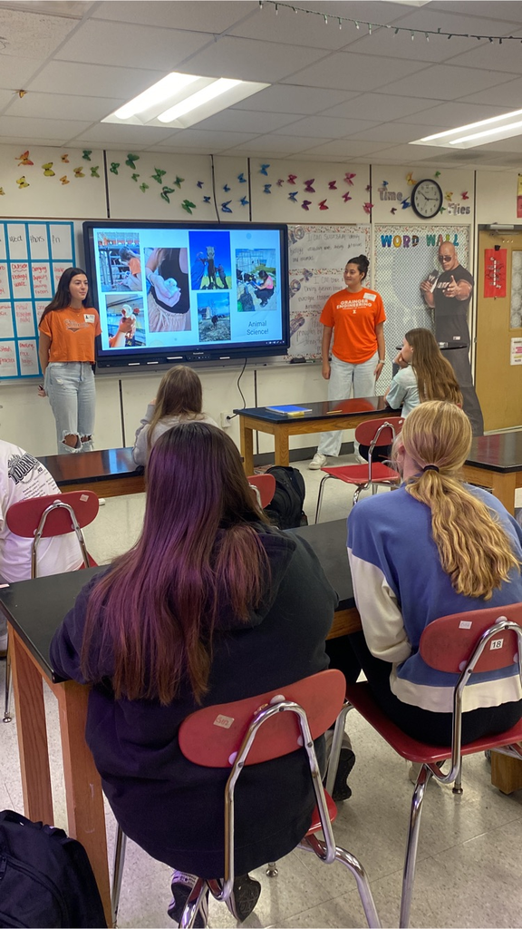 animal sciences experiences and internship opportunities
