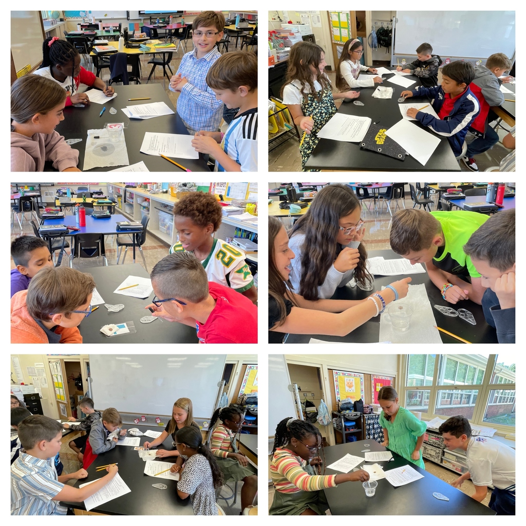 5th Science