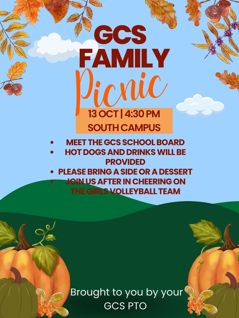 PTO Picnic