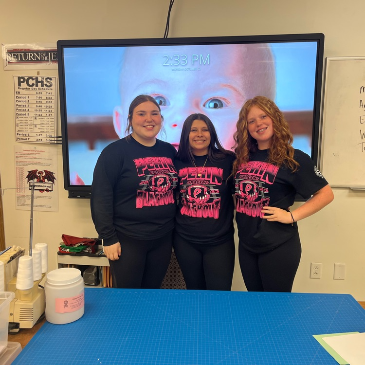 Students participate in Homecoming Twins  Day