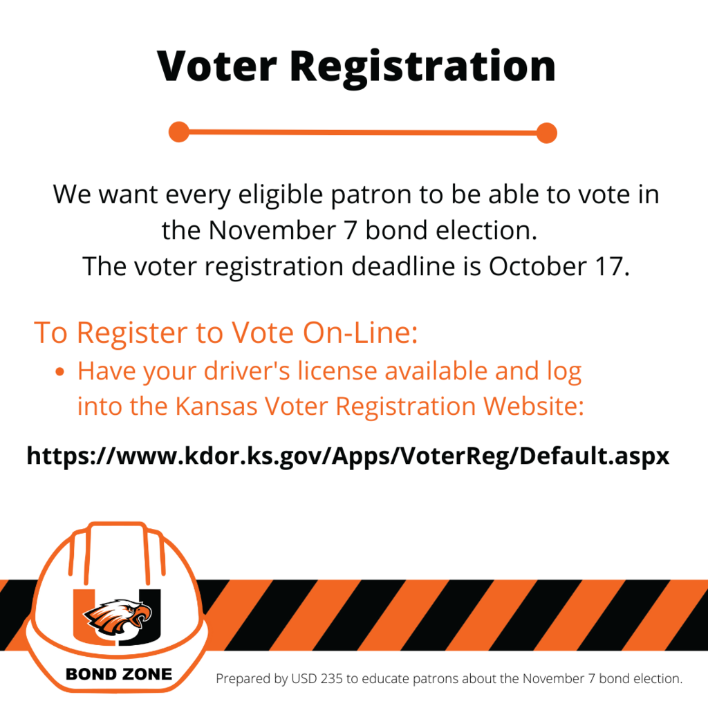 Voter Registration Infographic