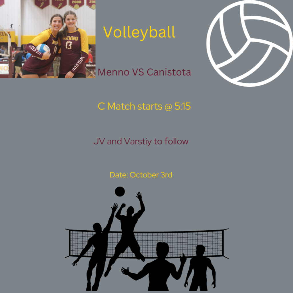 Volleyball against Canistota