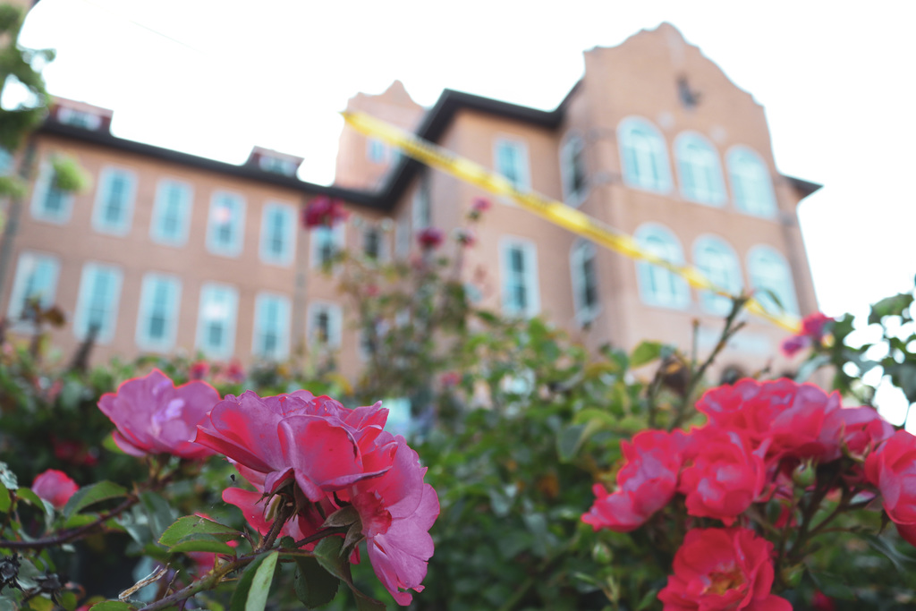 red flowers in front of the building