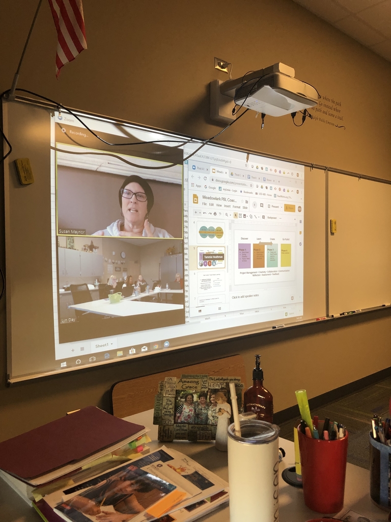 PBL PD with Susan Maynor