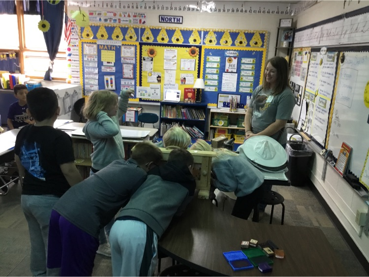 Jade Like spoke to our class about the importance of bees.