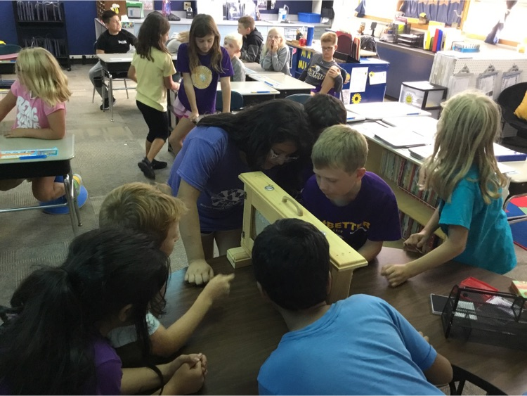 Students observing the bees.