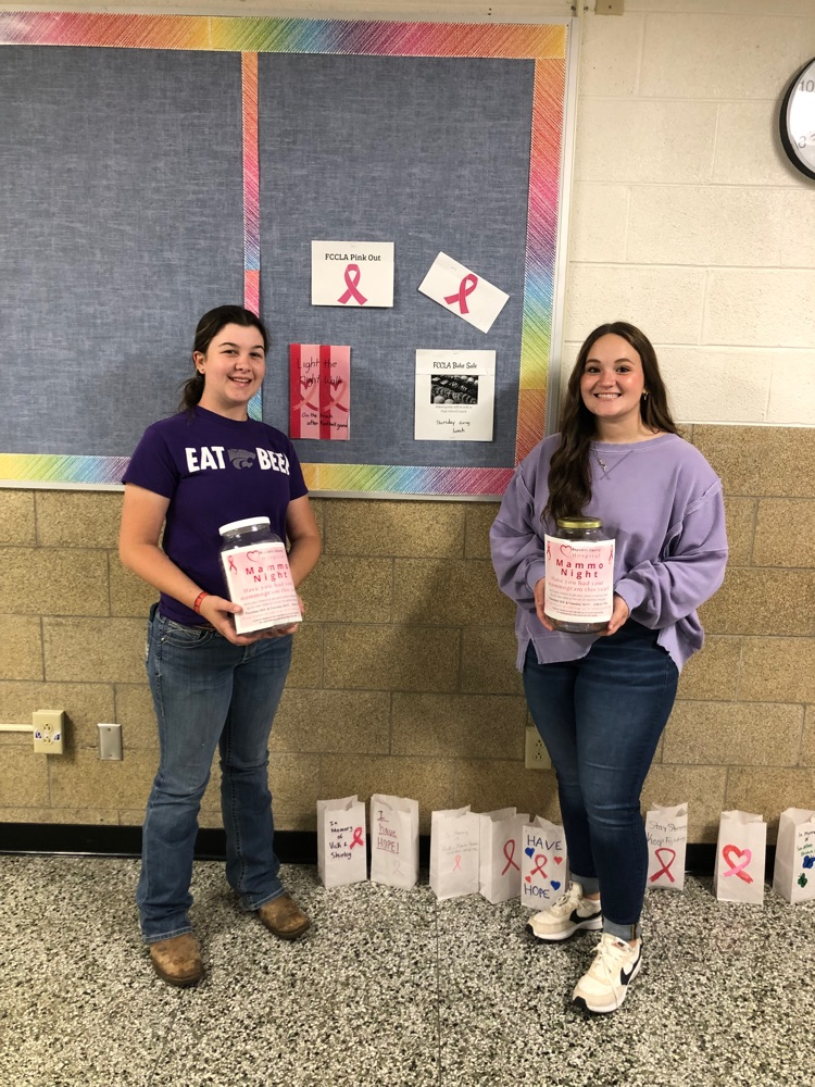 Olivia and Camryn - supporting RCH Mammo Nights with Memory Walk following football game 