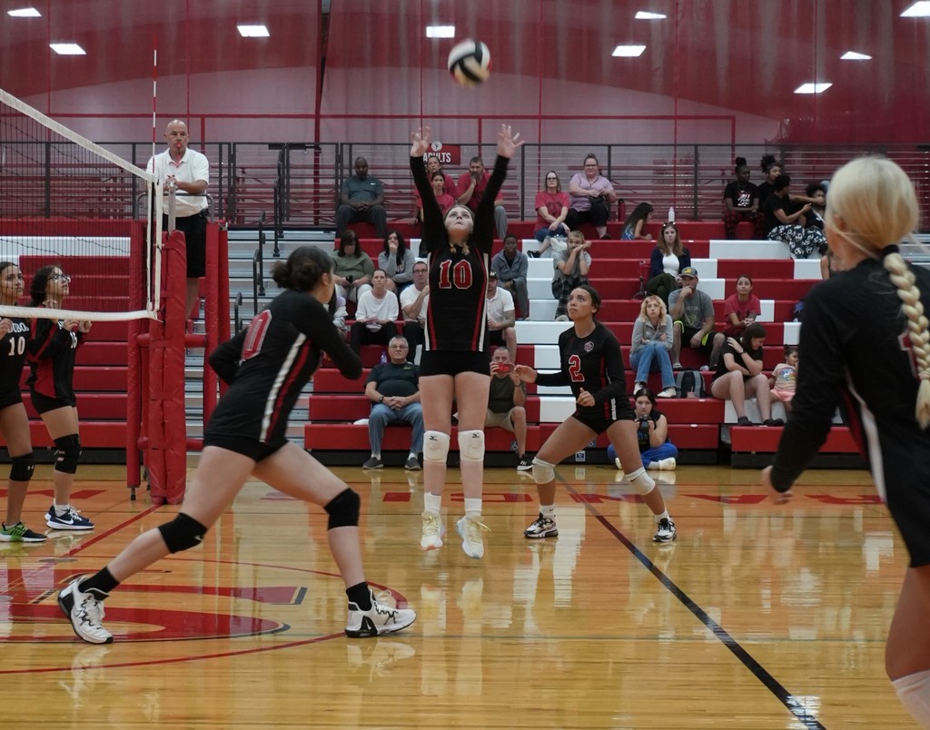 Volleyball Game