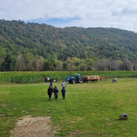 corn maze and tractor