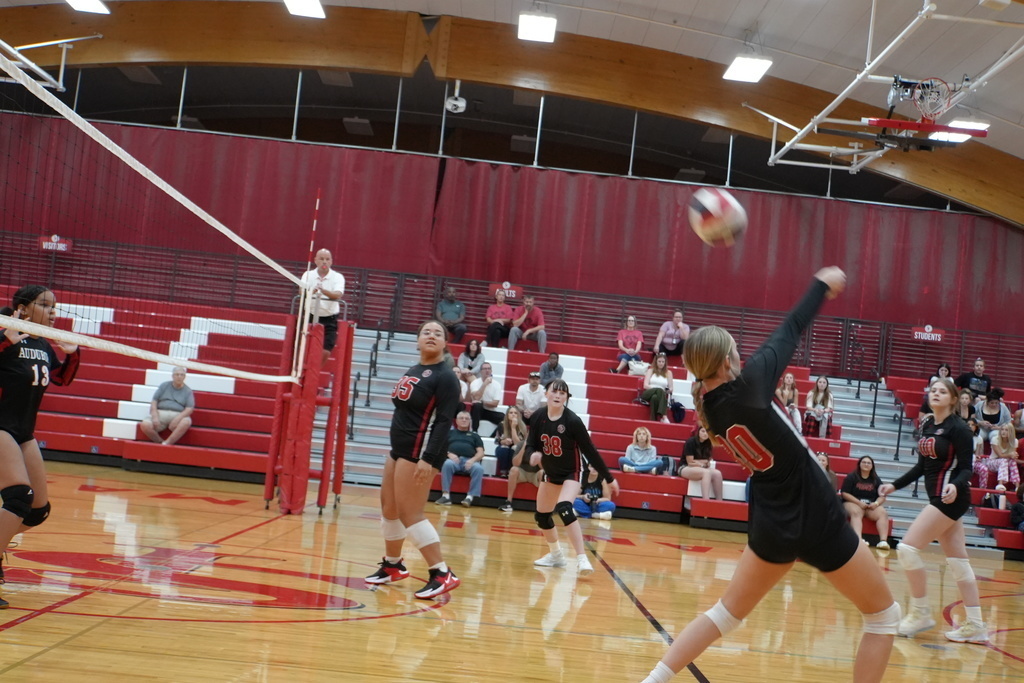 volleyball