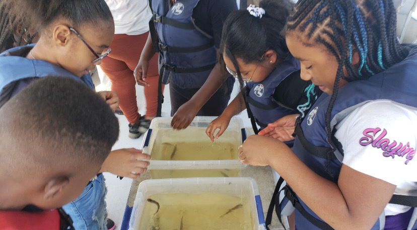 4th graders observe fish in trays on a boat.
