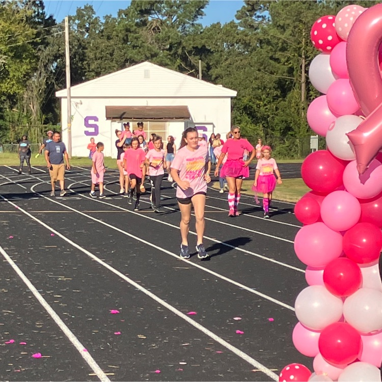 breast cancer walk