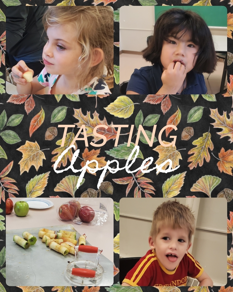 test tasting apples