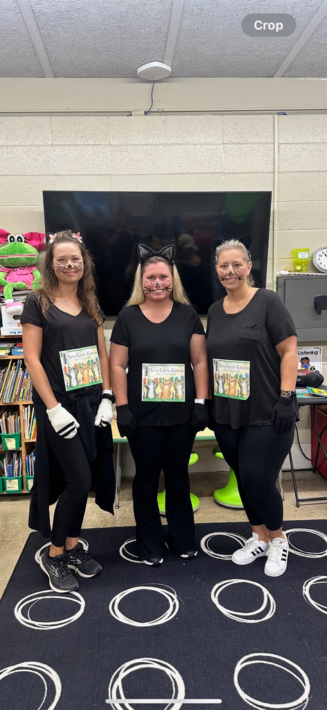 teachers