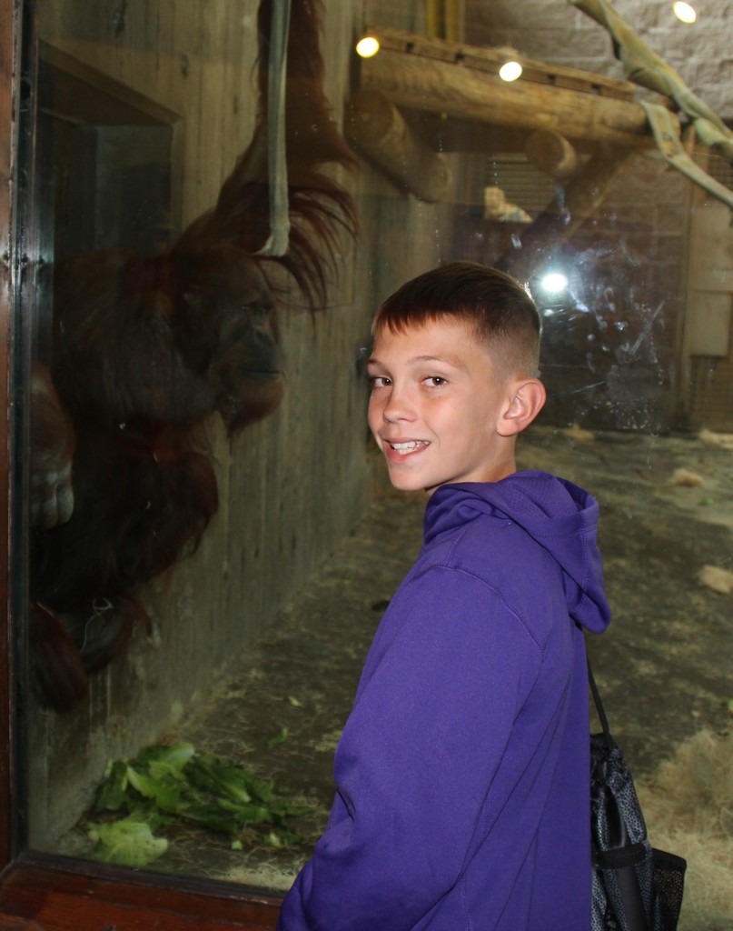 Zoo