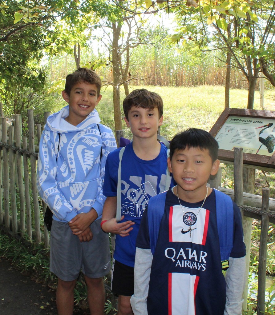 Zoo Day