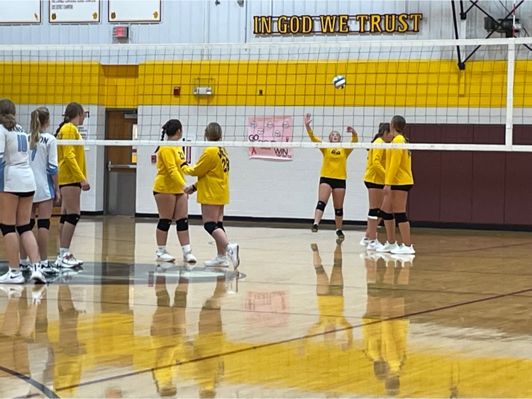 vb