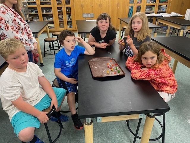 Bristol Science students engaged in structure.