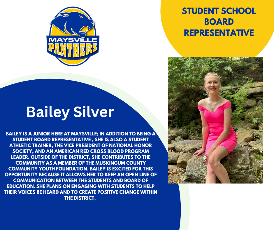 Bailey Silver 