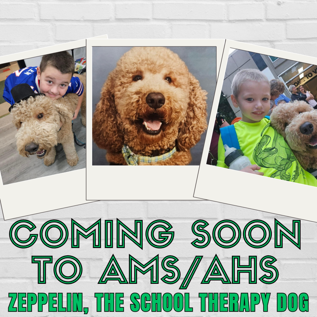 Zeppelin the Therapy Dog